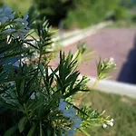 La Sablonniere 펜션 Méaulte